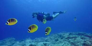 David Dias diving in the sea